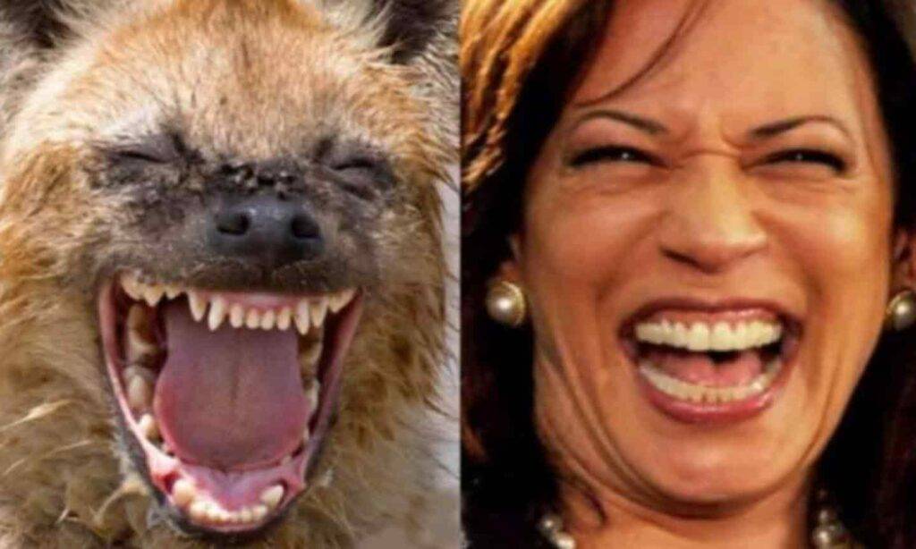 A hyena laughing and Kamala laughing